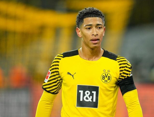 举办的球场 举办的球场