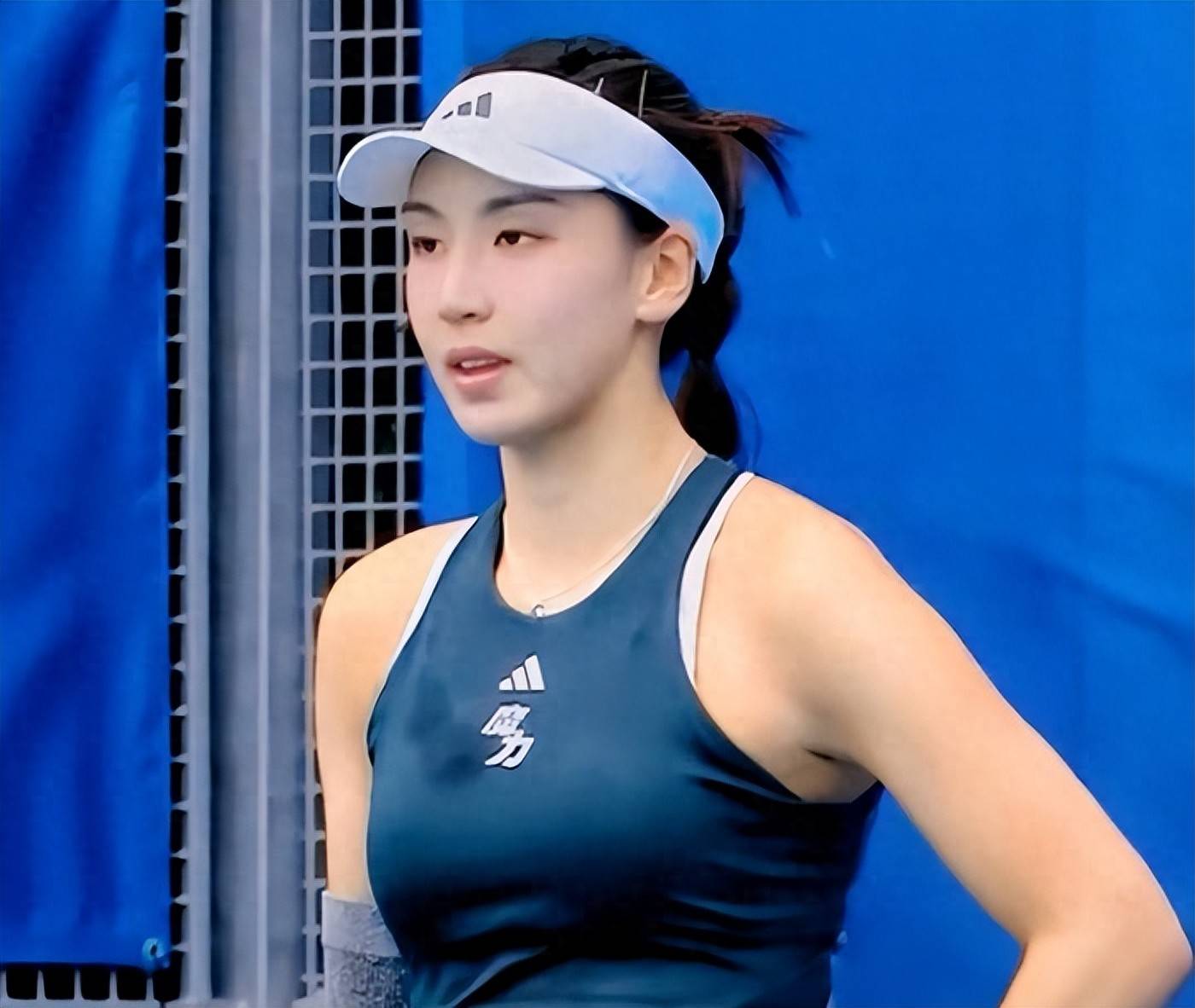 但从不会缺 但从不会缺