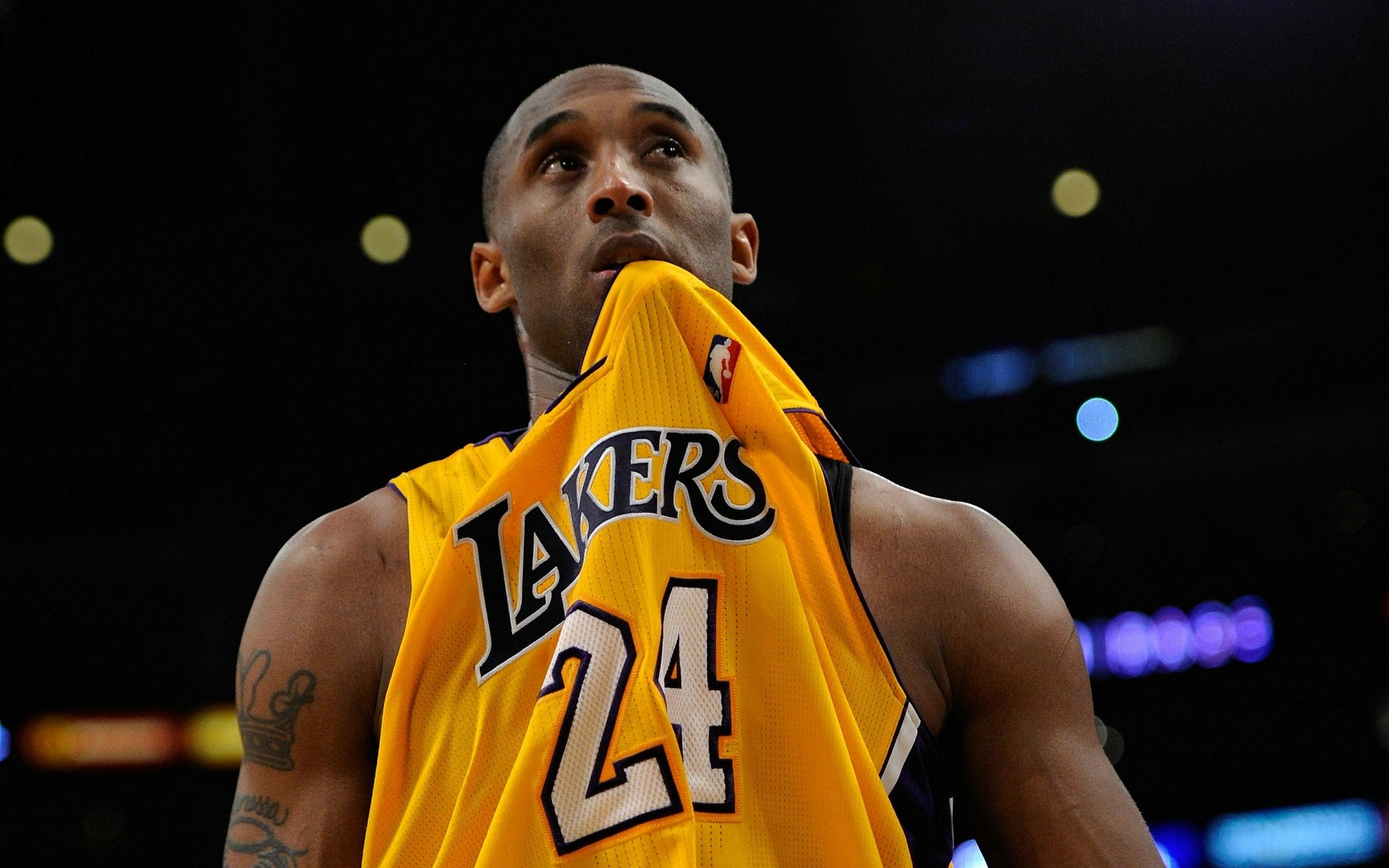 单体约7 单体约7